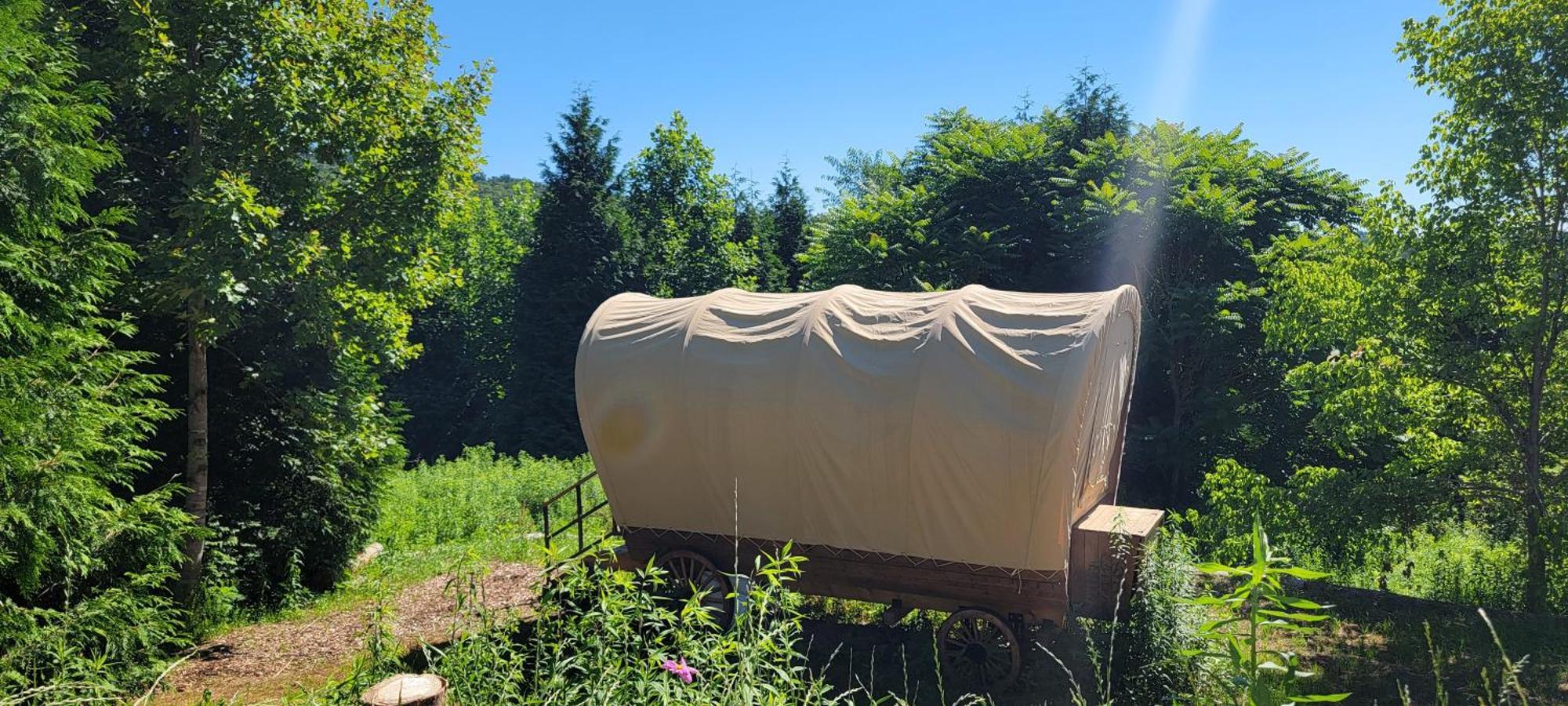 Covered Wagons Hill Camp - Wagon 4 Lenoir Exterior foto